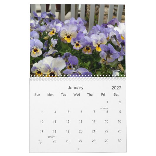 0 Pansies,  Pansies Kalender (Jan 2027)