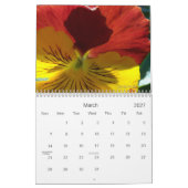 0 Pansies,  Pansies Kalender (Mar 2027)
