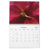 0 Pansies, Pansies Kalender (Feb 2026)
