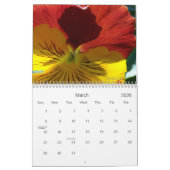 0 Pansies, Pansies Kalender (Mar 2026)
