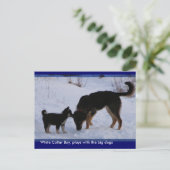 0WCB_boy, ... Briefkaart (Staand voorkant)