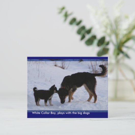 0WCB_boy, ... Briefkaart (Staand voorkant)