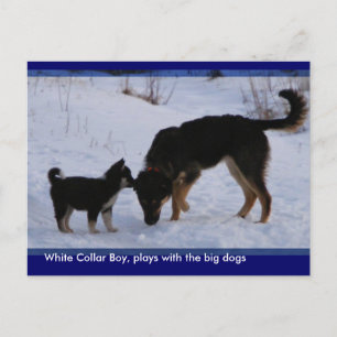 0WCB_boy, ... Briefkaart