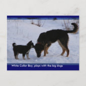 0WCB_boy, ... Briefkaart (Voorkant)