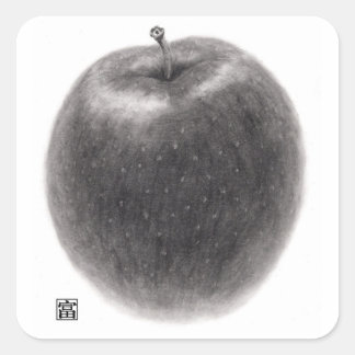 1個のりんご VIERKANTE STICKER