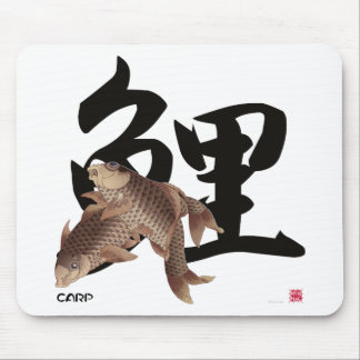 10009.CARP Japanese fish KOI Muismat
