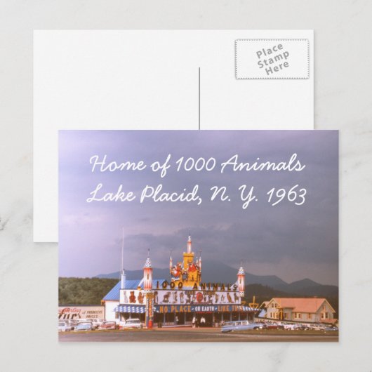 1000 Animals Lake Placid Briefkaart (Voorkant / Achterkant)