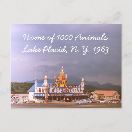 1000 Animals Lake Placid Briefkaart (Voorkant)
