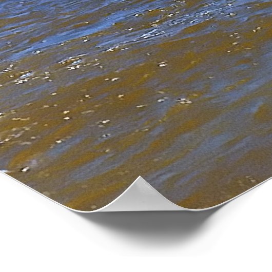 1000-Foot Laker Poster (Hoek)