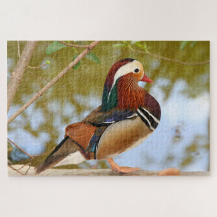 1000 piece Mandarin duck Jigsaw Puzzle Legpuzzel