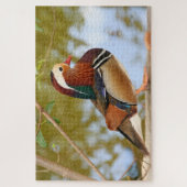 1000 piece Mandarin duck Jigsaw Puzzle Legpuzzel (Verticaal)