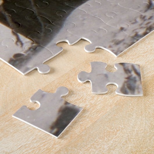 1000-stuk Duluth Waterfront Jigzaag Puzzles Legpuzzel (Zijkant)