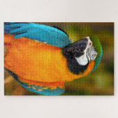 1000-stuk Majestic Macaw Legpuzzel (Horizontaal)