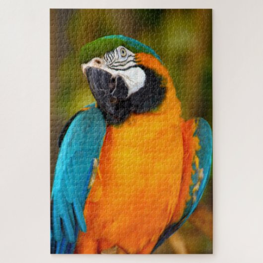 1000-stuk Majestic Macaw Legpuzzel (Verticaal)