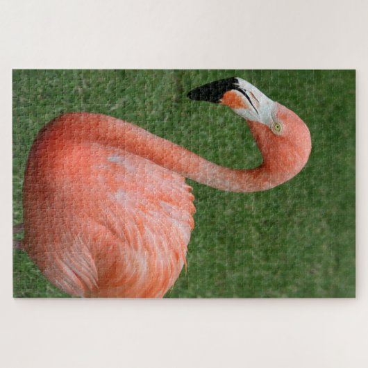 1000 stuk Roze Flamingo Legpuzzel (Horizontaal)