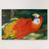 1000-stuk Scarlet Macaw Legpuzzel (Horizontaal)
