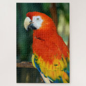 1000-stuk Scarlet Macaw Legpuzzel (Verticaal)