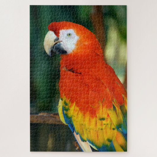 1000-stuk Scarlet Macaw Legpuzzel (Verticaal)