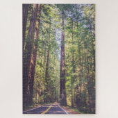 1000 stuks Puzzle Humboldt Trees Redwood Forest Legpuzzel (Verticaal)