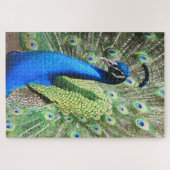 1000 stuks Stunning Peacock Foto Legpuzzel (Horizontaal)