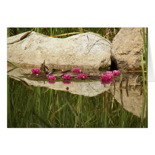 100_0088 (Voorkant Horizontaal)