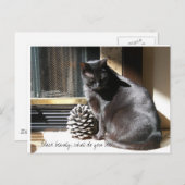 100_0305, Black beauty, what do you see? Briefkaart (Voorkant / Achterkant)