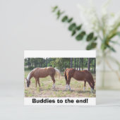 100_0350, Boeddies tot het einde! Briefkaart (Staand voorkant)