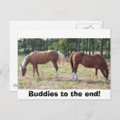 100_0350, Boeddies tot het einde! Briefkaart (Voorkant / Achterkant)