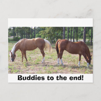 100_0350, Boeddies tot het einde! Briefkaart