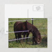 100_0375 BRIEFKAART (Voorkant / Achterkant)