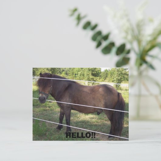 100_0376, HALLO! BRIEFKAART (Staand voorkant)