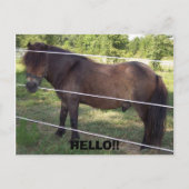 100_0376, HALLO! BRIEFKAART (Voorkant)