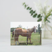 100_0415, MIST JE! BRIEFKAART (Staand voorkant)