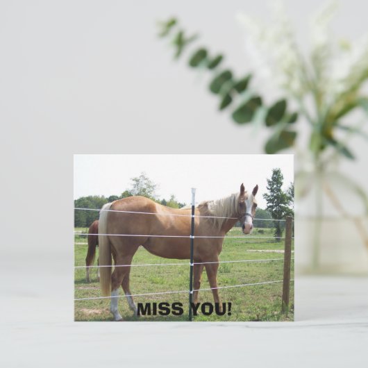 100_0415, MIST JE! BRIEFKAART (Staand voorkant)