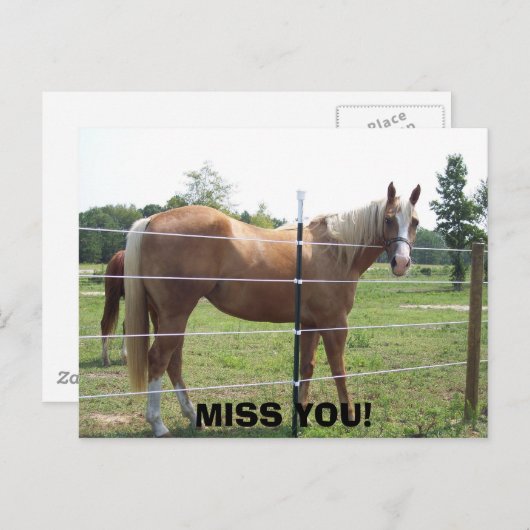 100_0415, MIST JE! BRIEFKAART (Voorkant / Achterkant)