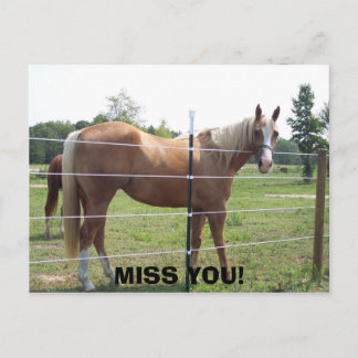 100_0415, MIST JE! BRIEFKAART