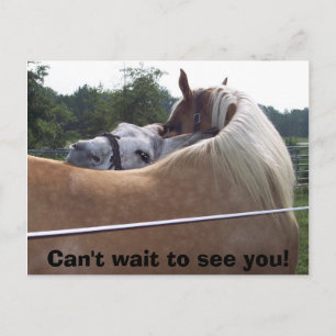 100_0416, kan niet wachten om je te zien! briefkaart