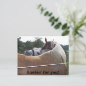 100_0416, Lookin' for you! Briefkaart (Staand voorkant)