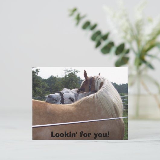 100_0416, Lookin' for you! Briefkaart (Staand voorkant)