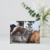 100_0424, Friends Forever! Briefkaart (Staand voorkant)