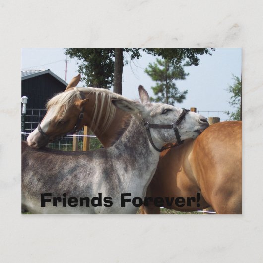 100_0424, Friends Forever! Briefkaart (Voorkant)