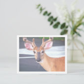 100_0606 BRIEFKAART (Staand voorkant)