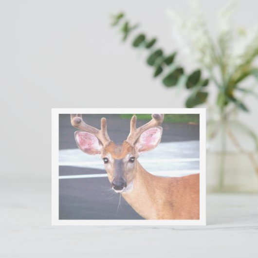 100_0606 BRIEFKAART (Staand voorkant)