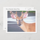 100_0606 BRIEFKAART (Voorkant / Achterkant)