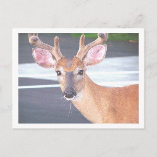 100_0606 BRIEFKAART (Voorkant)