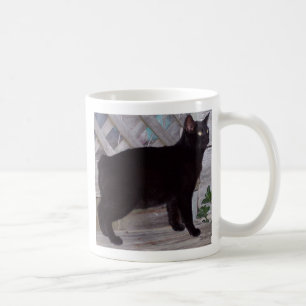 100_0621 KOFFIEMOK