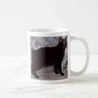 100_0621 KOFFIEMOK