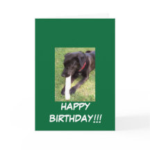 100_0695, GELUKKIGE VERJAARDAG!!!