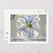 100_0709, Maggie's Flower, Caroline Vaughan 2007 Briefkaart (Voorkant / Achterkant)