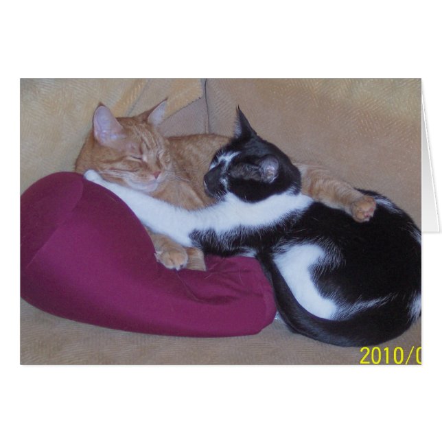 100_1102 (Voorkant Horizontaal)